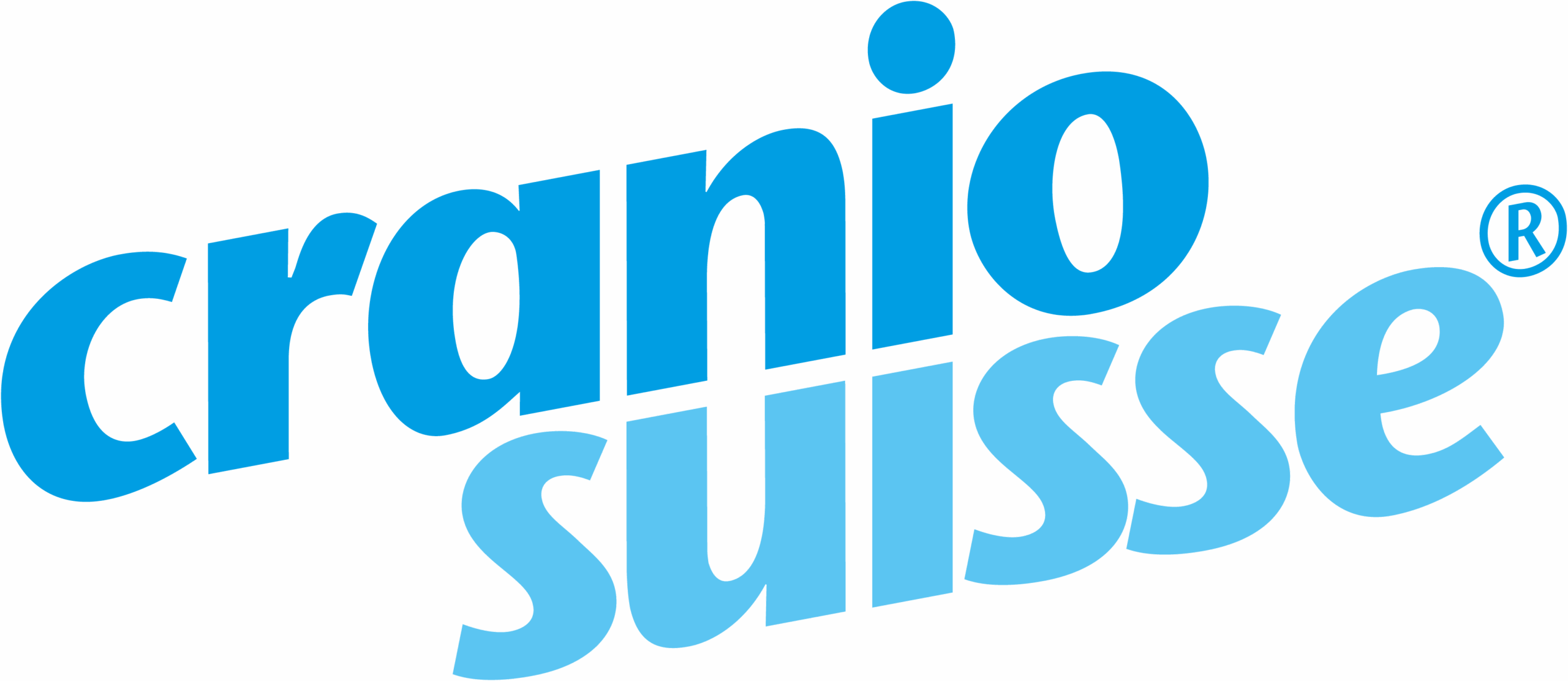 Logo Cranio Suisse – Schweizerische Gesellschaft für Craniosacral Therapie